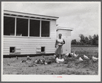 Violet Davenport with her chickens by new chicken house, La Delta Project Thomastown, La