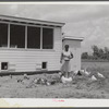 Violet Davenport with her chickens by new chicken house, La Delta Project Thomastown, La