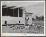 Violet Davenport with her chickens by new chicken house, La Delta Project Thomastown, La