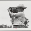 Dr. J.D. Jones examining one of farmer H.W. Jone's mules, FSA (Farm Security Administration) borrower getting benefit of veterinary cooperative in West Carroll Parish, Louisiana