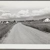 General view of Transylvania Project, Louisiana, road and homes