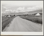General view of Transylvania Project, Louisiana, road and homes
