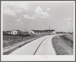 Main highway leading through the project, with school and community building on left. Transylvania Project, Louisiana