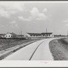 Main highway leading through the project, with school and community building on left. Transylvania Project, Louisiana