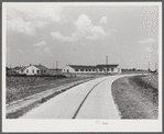 Main highway leading through the project, with school and community building on left. Transylvania Project, Louisiana