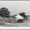 William J. Sullivan's son cultivating cotton alongside his home by the levee. Transylvania Project, Louisiana