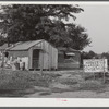 A white family lived in this shack near the Mississippi levee at Lake Providence, Louisiana