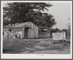 A white family lived in this shack near the Mississippi levee at Lake Providence, Louisiana