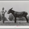 Mr. B.A. Brady, project manager, with the co-op jack belonging to the project association. Transylvania Project, Louisiana