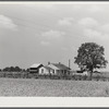 Project family's home, with garden, chicken house and barn. Transylvania Project, Louisiana