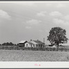 Project family's home, with garden, chicken house and barn. Transylvania Project, Louisiana