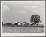 Project family's home, with garden, chicken house and barn. Transylvania Project, Louisiana