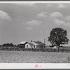 Project family's home, with garden, chicken house and barn. Transylvania Project, Louisiana