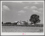 Project family's home, with garden, chicken house and barn. Transylvania Project, Louisiana
