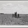 One of the project tractors plowing and discing new land. Transylvania Project, Louisiana