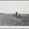 One of the project tractors plowing and discing new land. Transylvania Project, Louisiana