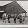 W.D. Anglin and his son, with their team of mares in front of his barn. Transylvania Project, Louisiana