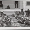 Mrs. J.G. Stanley cutting flowers in front of her home. Transylvania Project, Louisiana