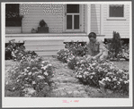 Mrs. J.G. Stanley cutting flowers in front of her home. Transylvania Project, Louisiana