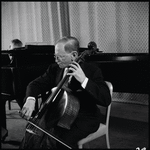 Nikolai Graudan, cellist of the Festival Quartet