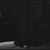 Cat in the dark