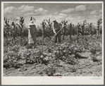 Mr. and Mrs. John M. Washam hoeing in their garden. Transylvania Project, Louisiana