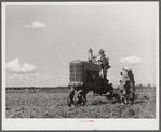 One of the project tractors plowing and discing new land. Transylvania Project, Louisiana