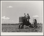 One of the project tractors plowing and discing new land. Transylvania Project, Louisiana