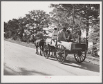 Returning home with wagons loaded with entire family and supplies on Saturday evening. Lake Providence, Louisiana