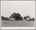 Project family's home and barns. Transylvania Project, Louisiana