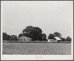 Project family's home and barns. Transylvania Project, Louisiana