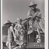 Golus Skipper on the co-op association's binder while threshing Willy Anglin's oats. Transylvania Project, Louisiana
