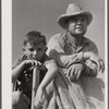 Golus Skipper on the co-op association's binder while threshing Willy Anglin's oats. Transylvania Project, Louisiana