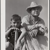 Golus Skipper on the co-op association's binder while threshing Willy Anglin's oats. Transylvania Project, Louisiana