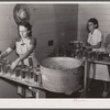 Camp members canning tomatoes in the utility building at Osceola migratory labor camp. Belle Glade, Florida