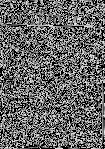 1981 June-July