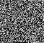 Phyllis Curtin in "Salome"