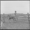 Unidentified woman with colt