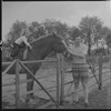 Child on horse