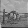 Children with horses