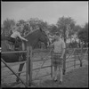 Child on horse