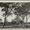 Talmage farmhouse. South side MaiI Route Road from Amagansett to The Springs. Amagansett, East Hampton