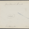 View of Montauk Point. Montauk, East Hampton