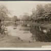 View of Town Pond and Burying Ground, looking north. East Hampton, East Hampton