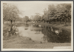 View of Town Pond and Burying Ground, looking north. East Hampton, East Hampton
