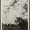 View of Burying Ground and Gardiner's windmill. East Hampton, East Hampton