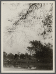 View of Burying Ground and Gardiner's windmill. East Hampton, East Hampton