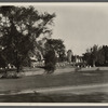 View of Burying Ground and Gardiner's windmill. East Hampton, East Hampton