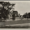 View of Burying Ground and Gardiner's windmill. East Hampton, East Hampton