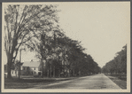 View of Main Street. Looking west. Mulford house on left. Amagansett, East Hampton